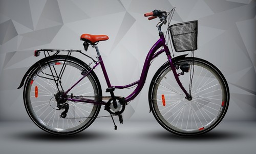 Women speed city bike - speed,