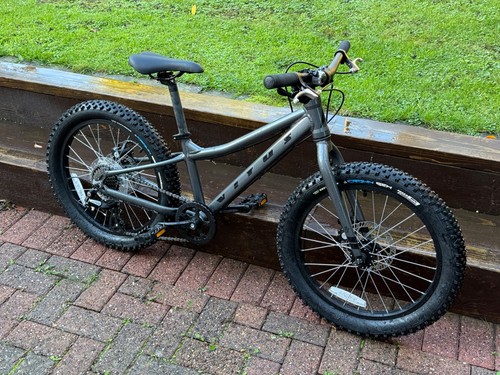Vitus kids trail - vitus,