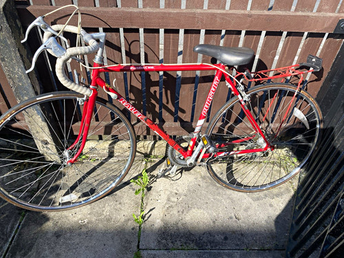 Raleigh pursuit racebred - raleigh,
