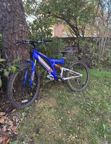 Schwinn bike inch - schwinn,