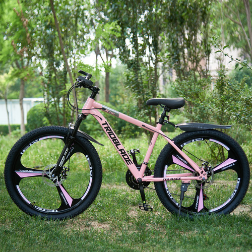 Inch mountain bike speed - 26, 21